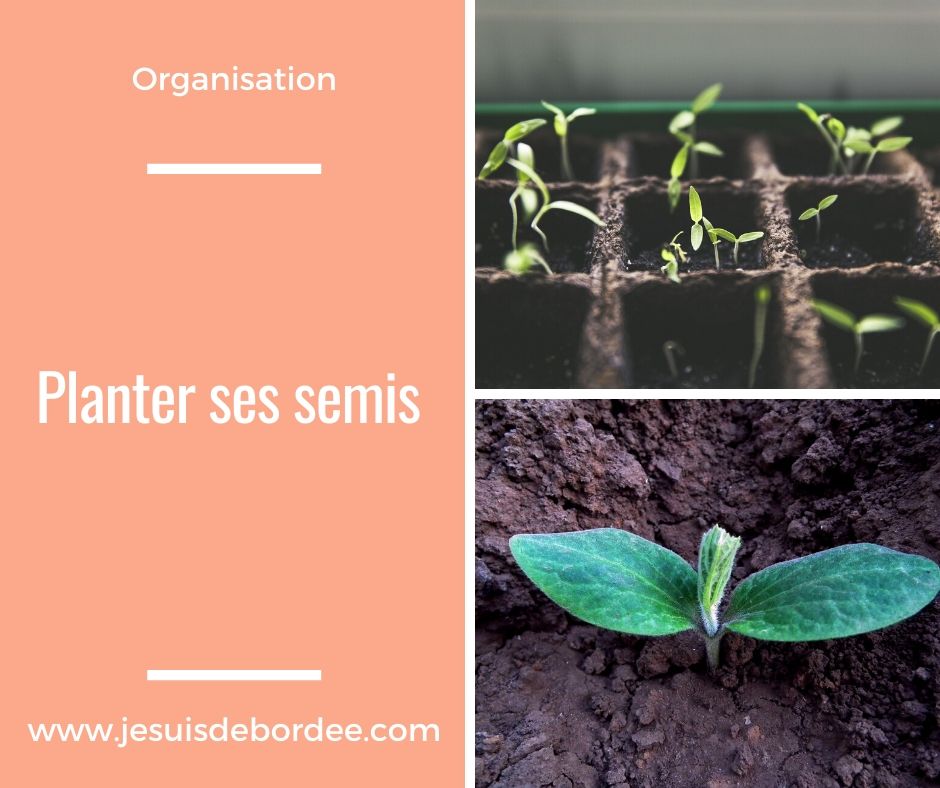 Planter ses semis