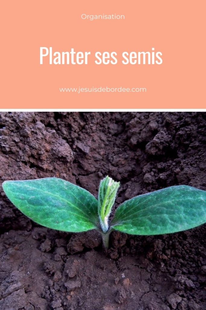 Planter ses semis