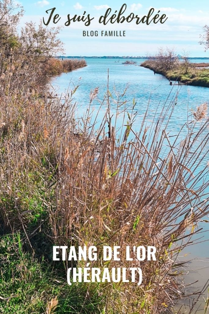 Etang de l'Or