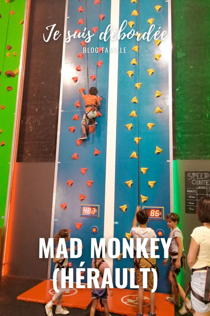 Mad Monkey