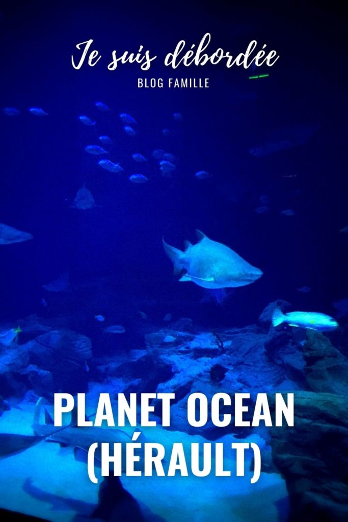 Planet Ocean