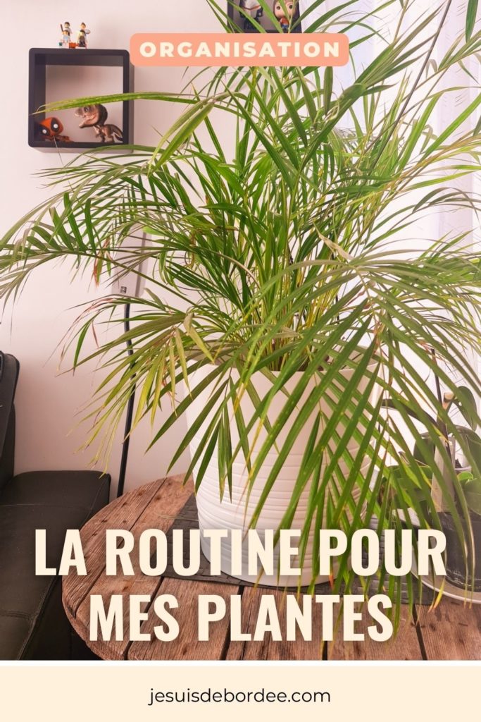 routine plantes