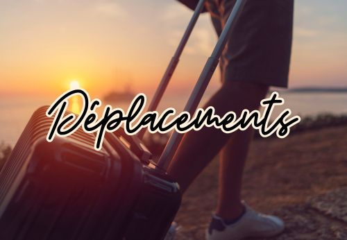 déplacements voyage déménagement