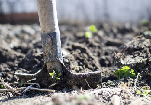 Réaménager son potager