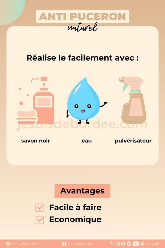 anti puceron naturel écologique
