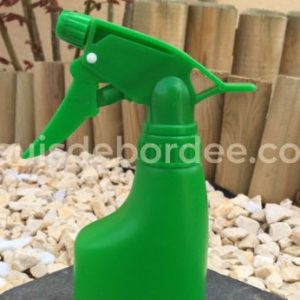 anti puceron naturel