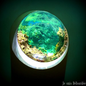 aquarium Planet Océan