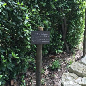 parc_chateau_flaugergues_05