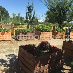 petits fermiers lansargues hérault montpellier