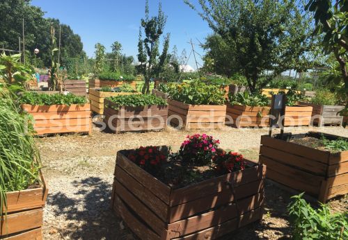 petits fermiers lansargues hérault montpellier