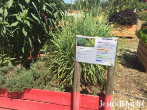 petits_fermiers_04