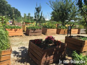 petits_fermiers_05
