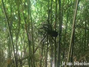 petits_fermiers_09