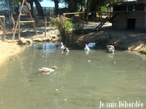 petits_fermiers_10