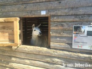 petits_fermiers_11