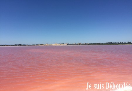 Salins du Midi