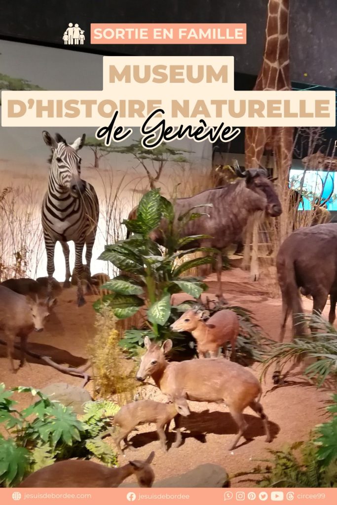 Museum histoire naturelle Genève suisse