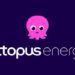 octopus energy