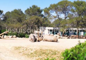 zoo lunaret montpellier herault