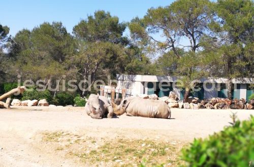 zoo lunaret montpellier herault