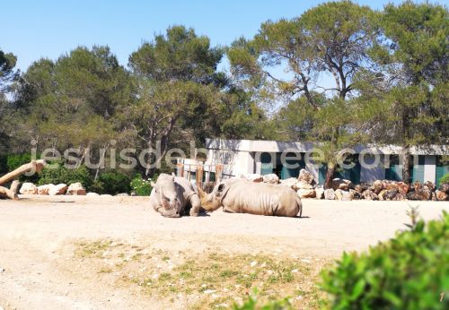 zoo lunaret montpellier herault