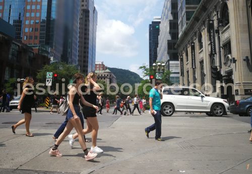 découvrir montréal à pied en famille