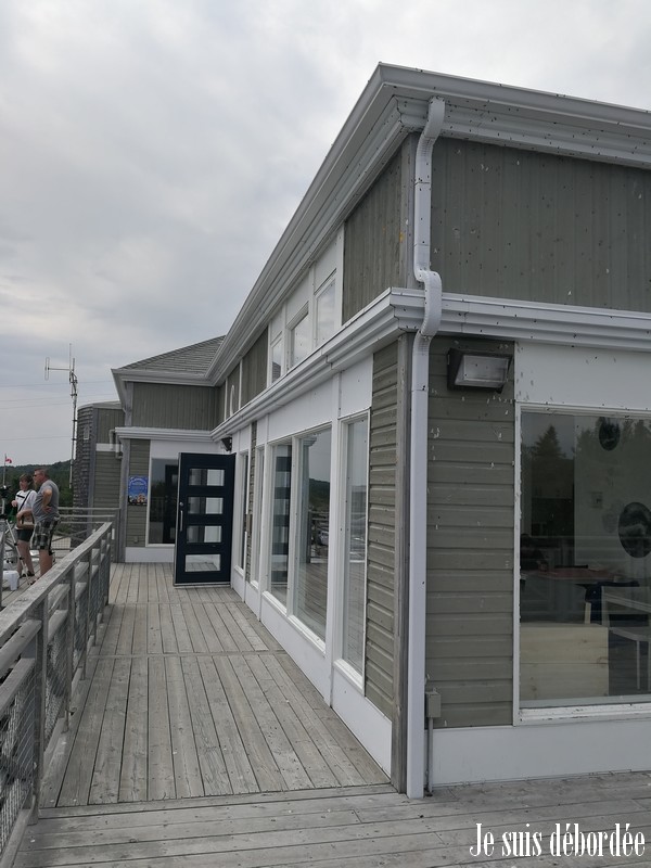 baleine-tadoussac