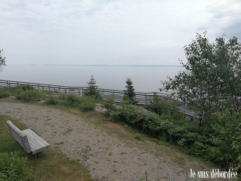 baleine-tadoussac