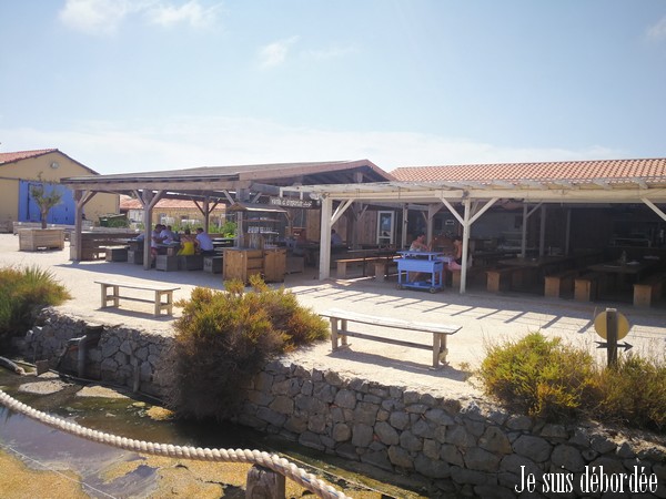 cambuse saunier gruissan