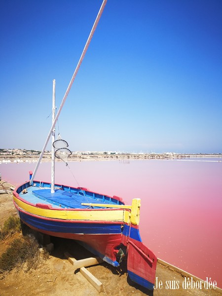 Salin de Gruissan