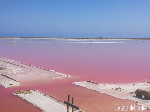 Salin de Gruissan