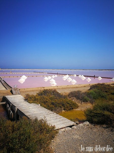Salin de Gruissan aude