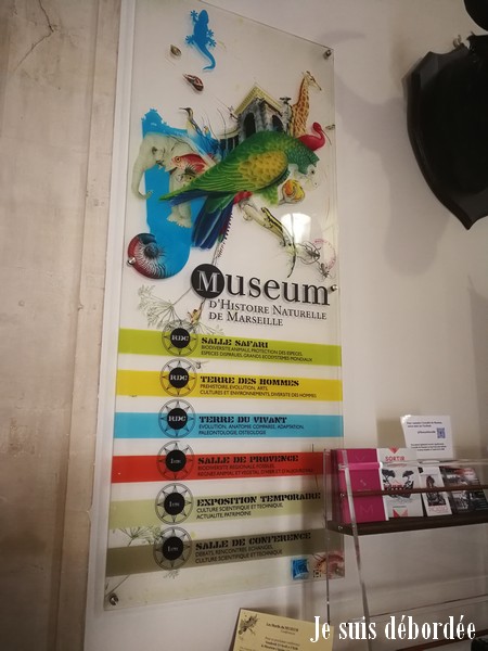 musée histoire naturelle Marseille