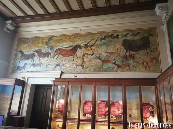 musee-histoire-naturelle-marseille