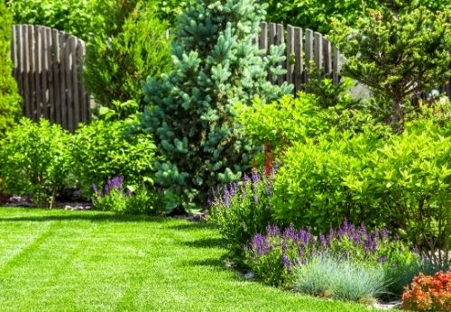 préparer le jardin pour l'été