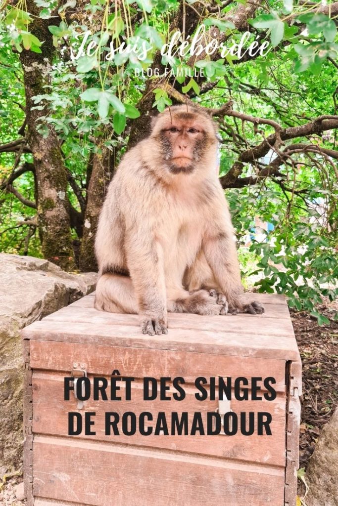 Forêt des Singes de Rocamadour