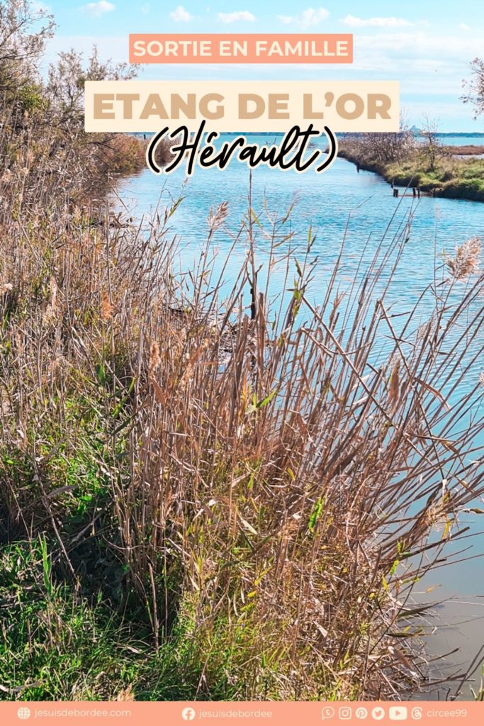  étang de l Or mauguio herault
