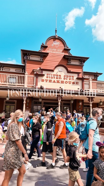 Disneyland en famille silver spur