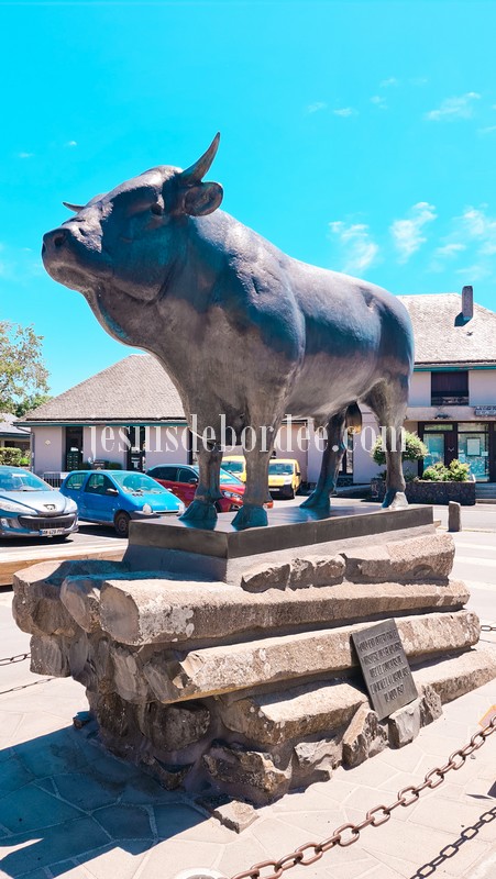 taureau Laguiole