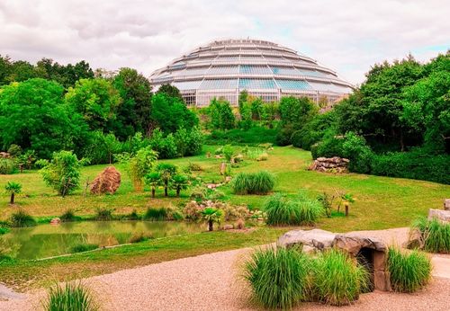 zoo de Beauval