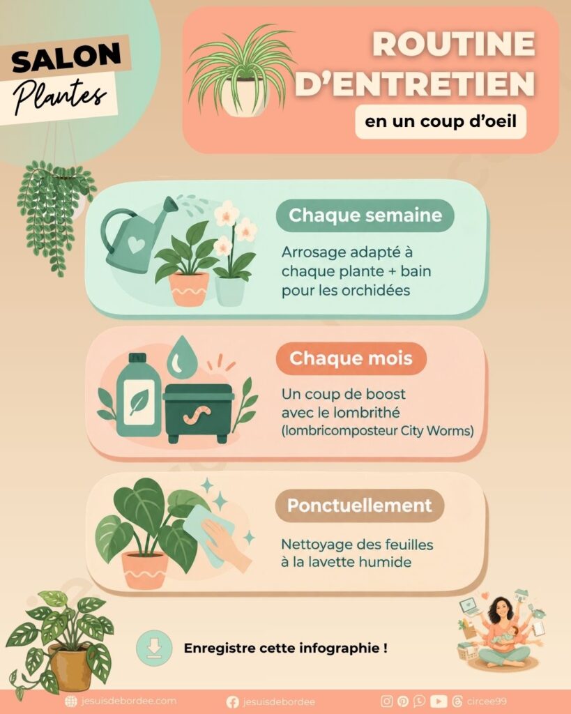 Infographie résumant la routine d'entretien plantes en 3 étapes : arrosage hebdomadaire avec bain pour les orchidées, boost mensuel au lombrithé du lombricomposteur City Worms, nettoyage ponctuel des feuilles à la lavette humide.