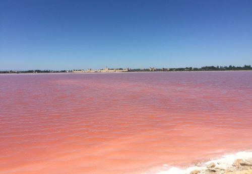 Salins du Midi