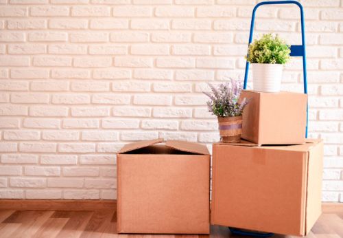 Organisation de déménagement : conseils pour déménager sereinement