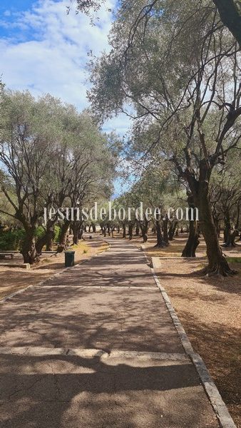 Parc du pian à Menton en famille