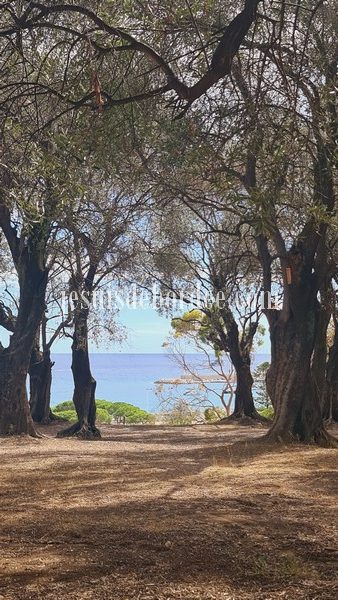 parc du pian à Menton en famille