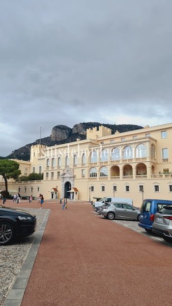 le palais princier de Monaco