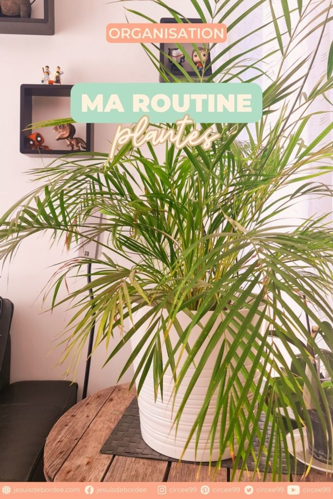 Routine plantes