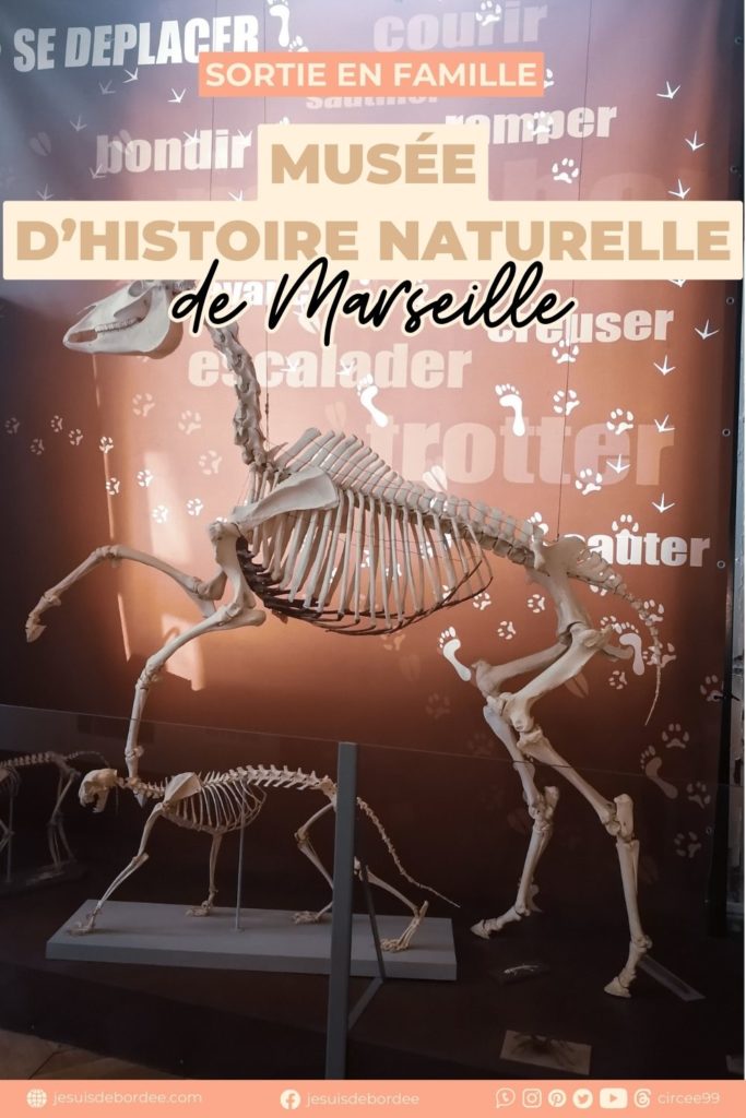musée histoire naturelle Marseille