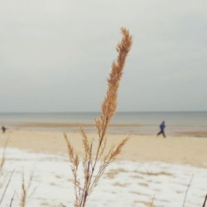 Check list valise hiver mer