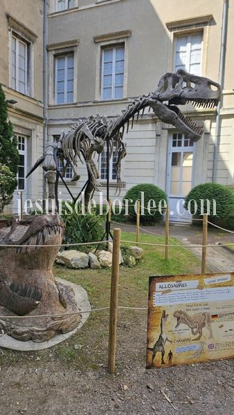 Museum histoire naturelle nimes squelette dinosaure